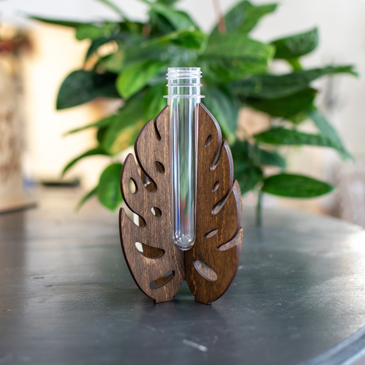 Propagation Station - Stand