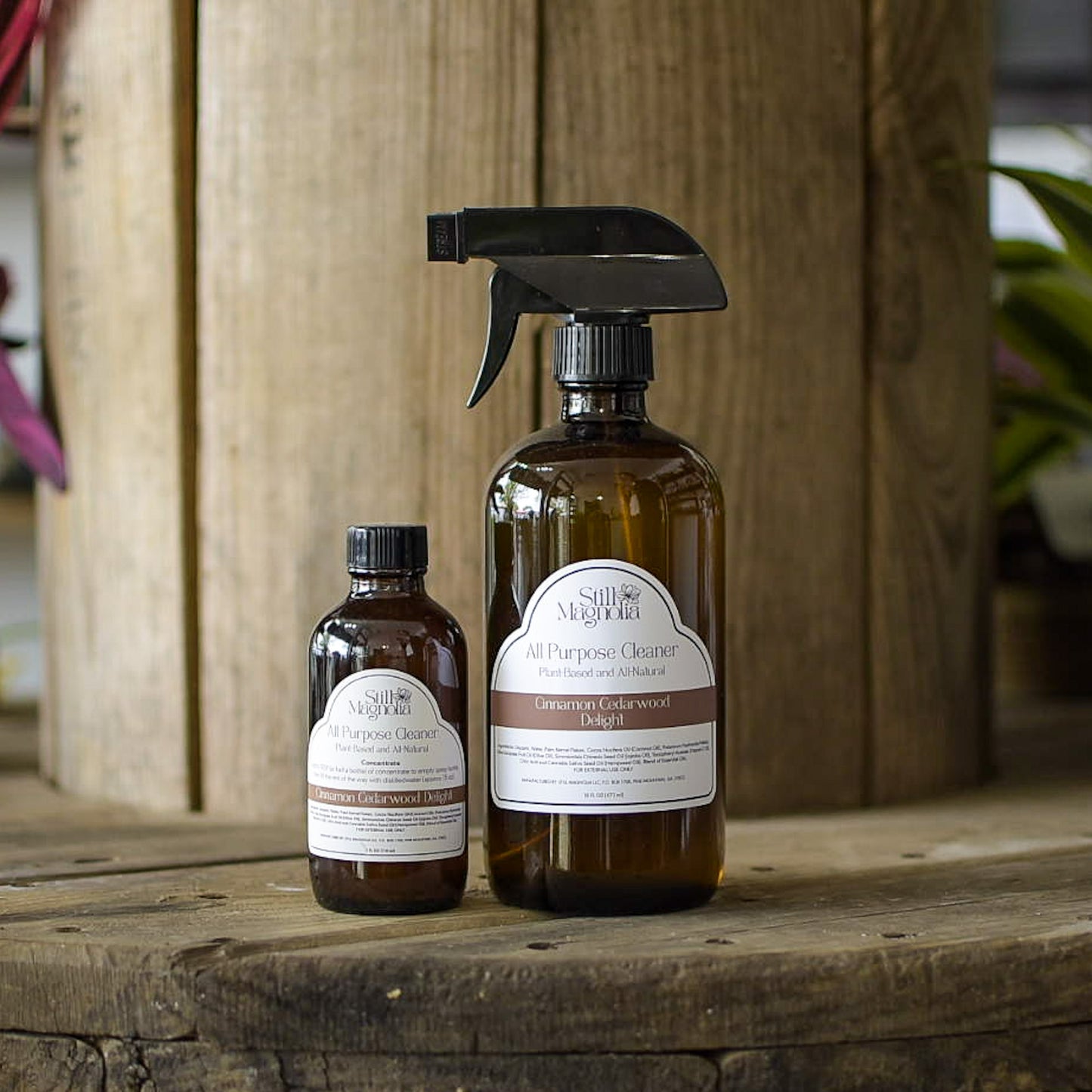 All Purpose Cleaner Concentrate - Cinnamon Cedarwood Delight