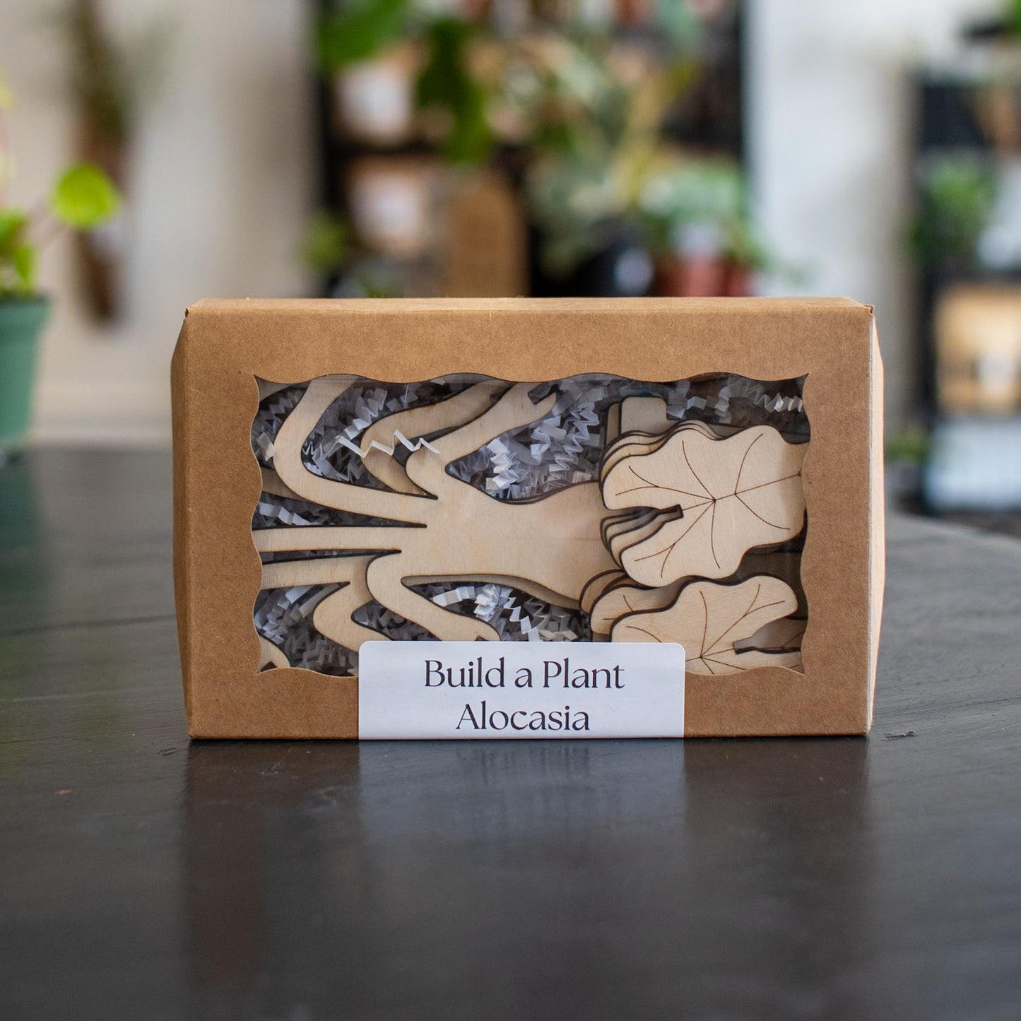 Build A Plant - Alocasia