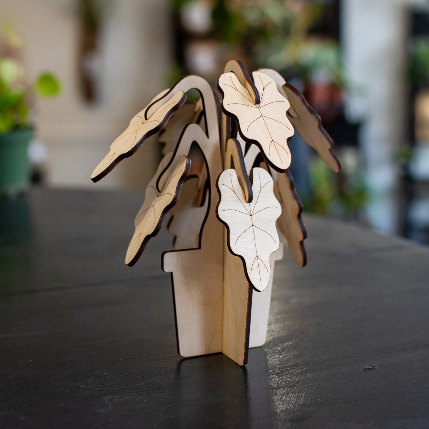 Build A Plant - Alocasia