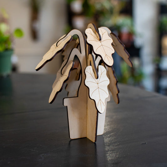 Build A Plant - Alocasia