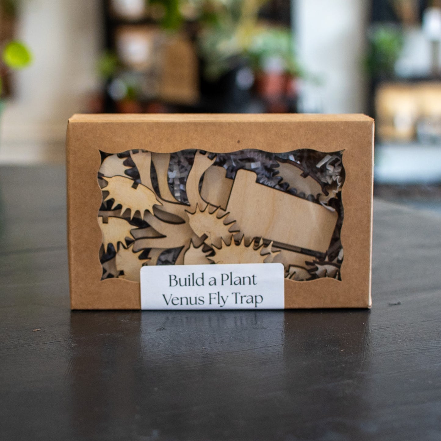 Build A Plant - Venus Fly Trap