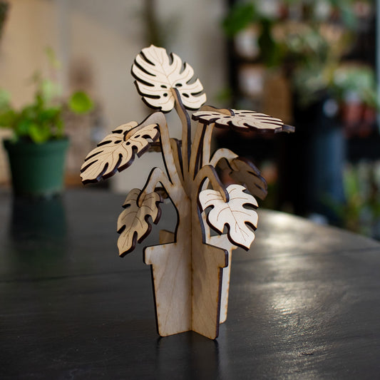 Build A Plant - Monstera