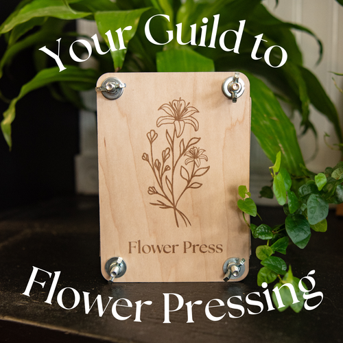 Your Guild to Flower Pressing: How to Start Pressing Flowers