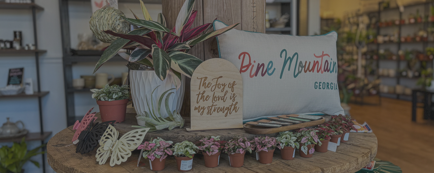 Home Goods & Gifts