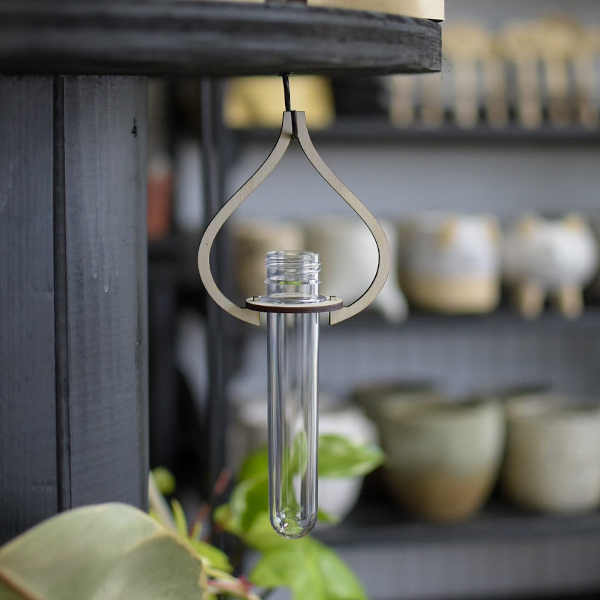 hanging plant propagation station Hanging Propagation Station – Still Magnolia