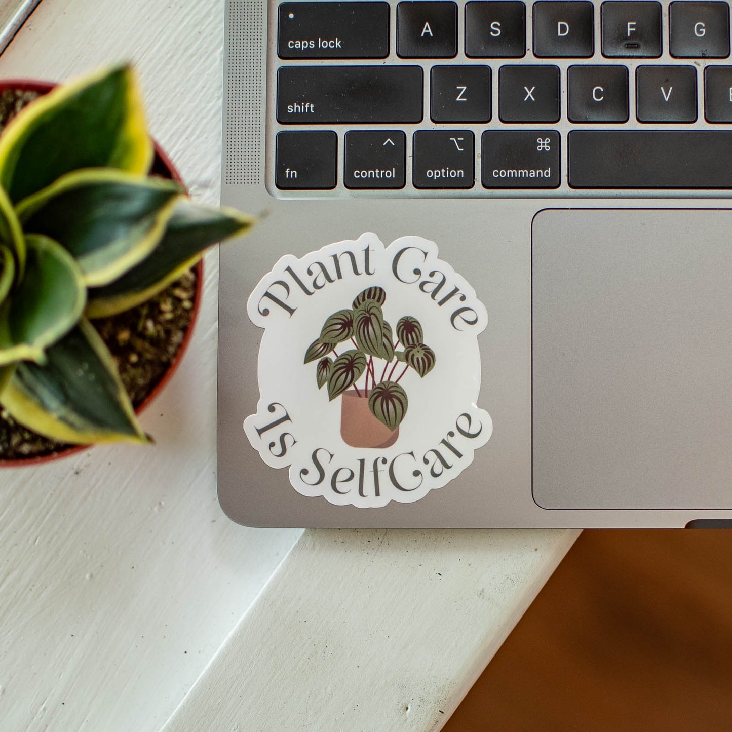 Plant Care is Selfcare - Sticker