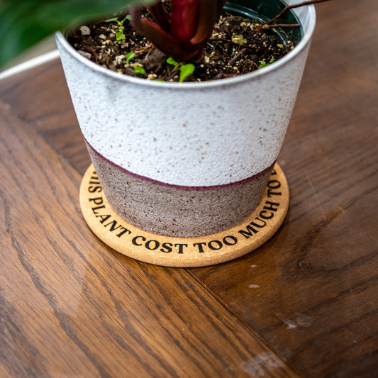 This Plant Cost To Much To Die - Plant Pot Coasters