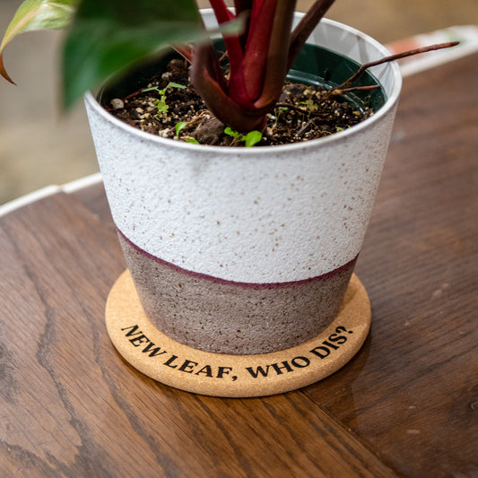 New Leaf, Who Dis? - Plant Pot Coasters