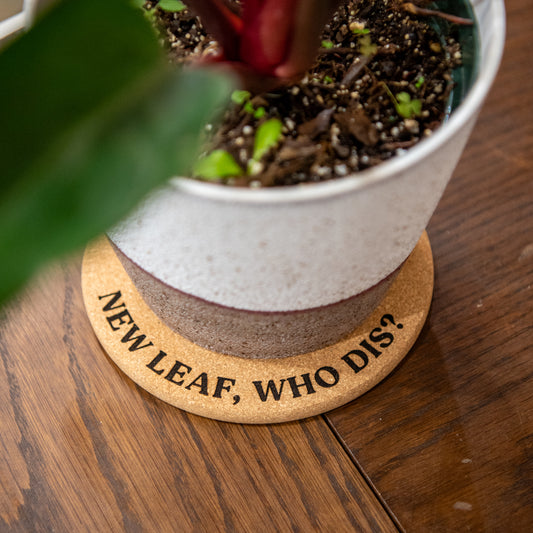 New Leaf, Who Dis? - Plant Pot Coasters