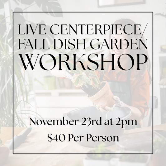 Live Centerpiece / Fall Dish Garden Workshop