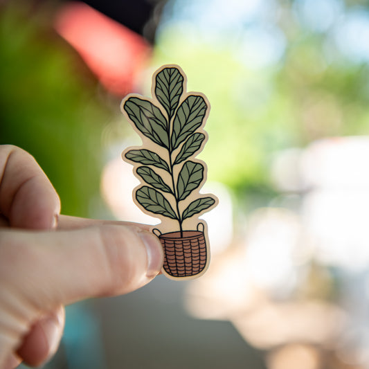 Fiddle Leaf Fig- Sticker